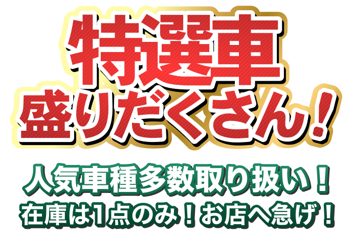 日替り特選車100連発