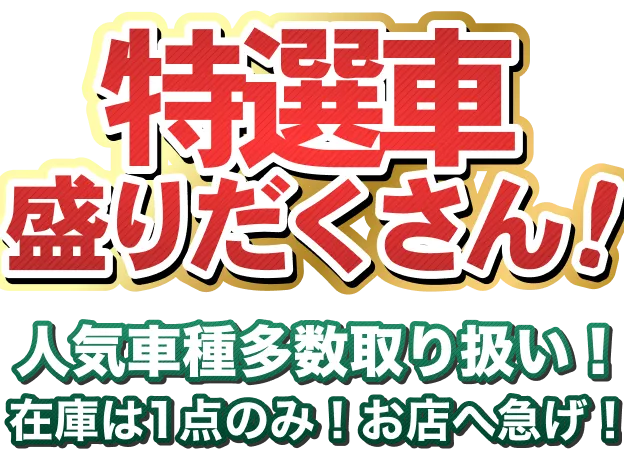 日替り特選車100連発